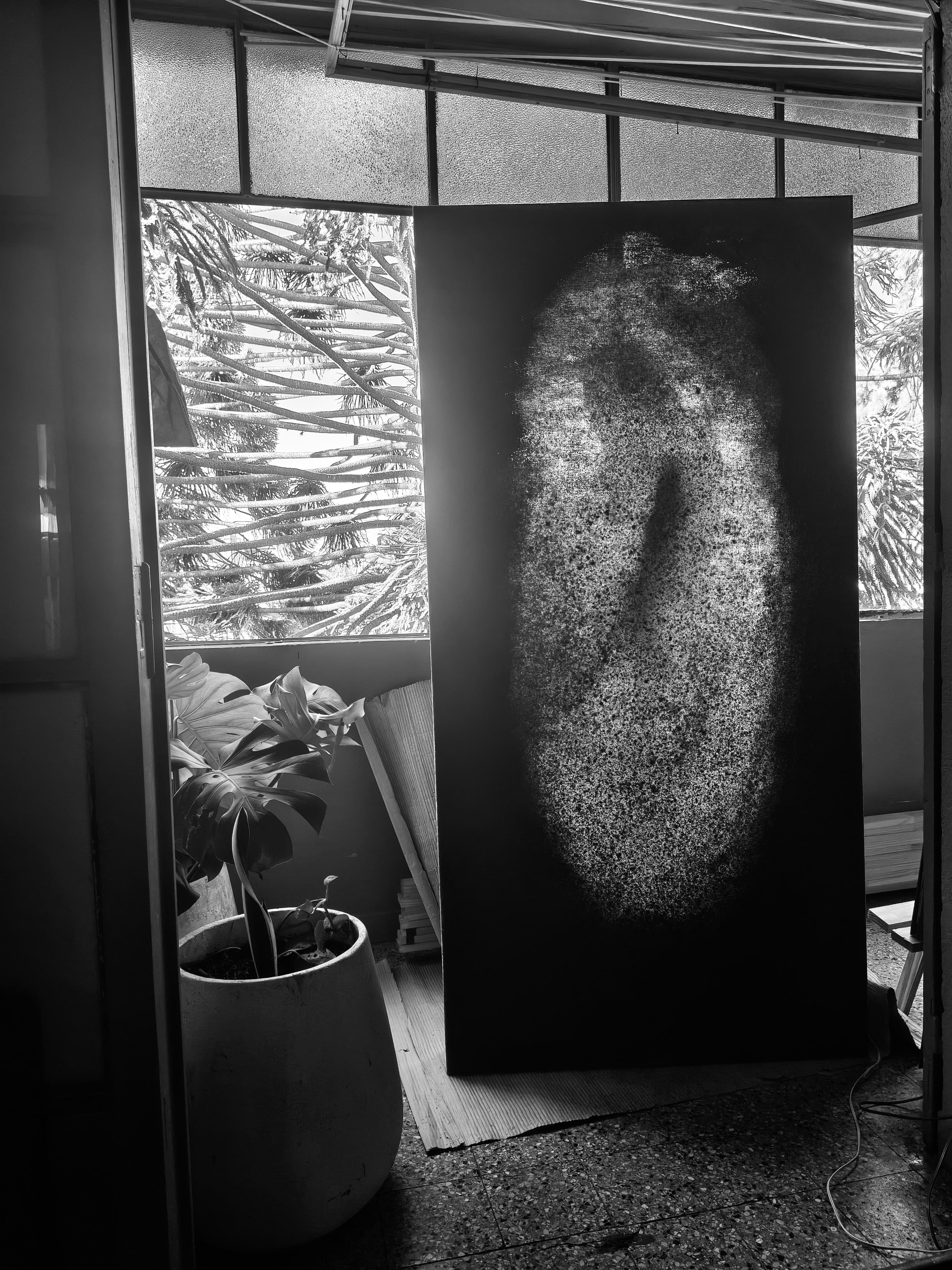 Latido Estelar Obra Principal